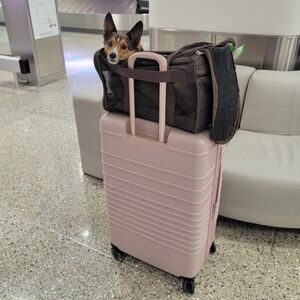 Sherpa Original Deluxe Travel Bag Pet Carrier- Medium